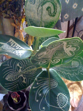leaves5