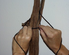 PIC00011