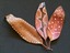 Random Acts of Art 10:27:13